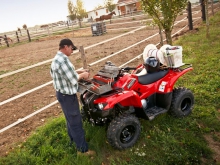 Фото Yamaha Grizzly 300 Grizzly 300 №10
