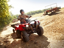 Фото Yamaha Grizzly 300 Grizzly 300 №6